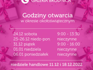 Godziny otwarcia Galerii Brodnica w grudniu 2022